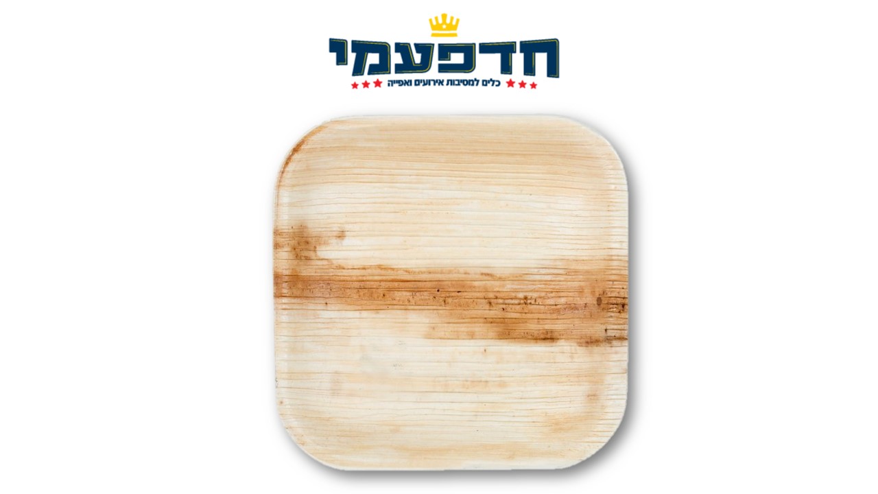 צלחת 10' במבוק מתכלה