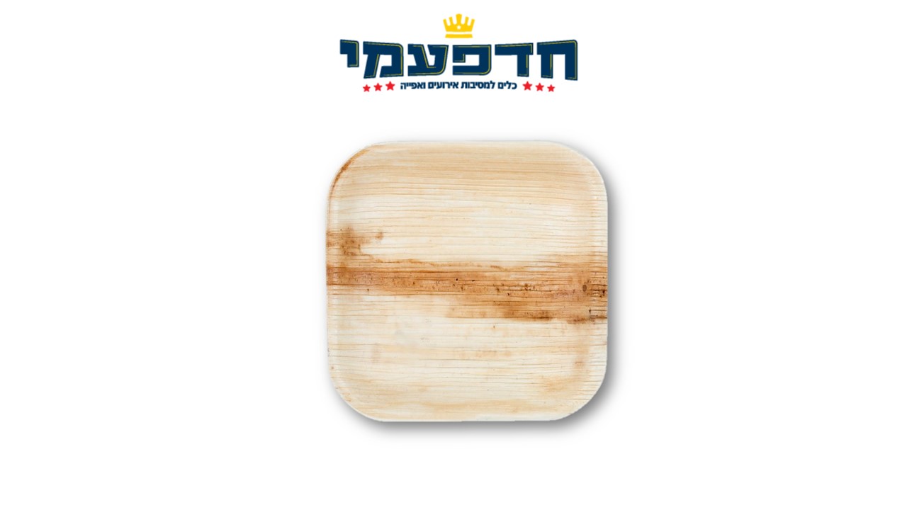 צלחת 9' מרובעת במבוק מתכלה